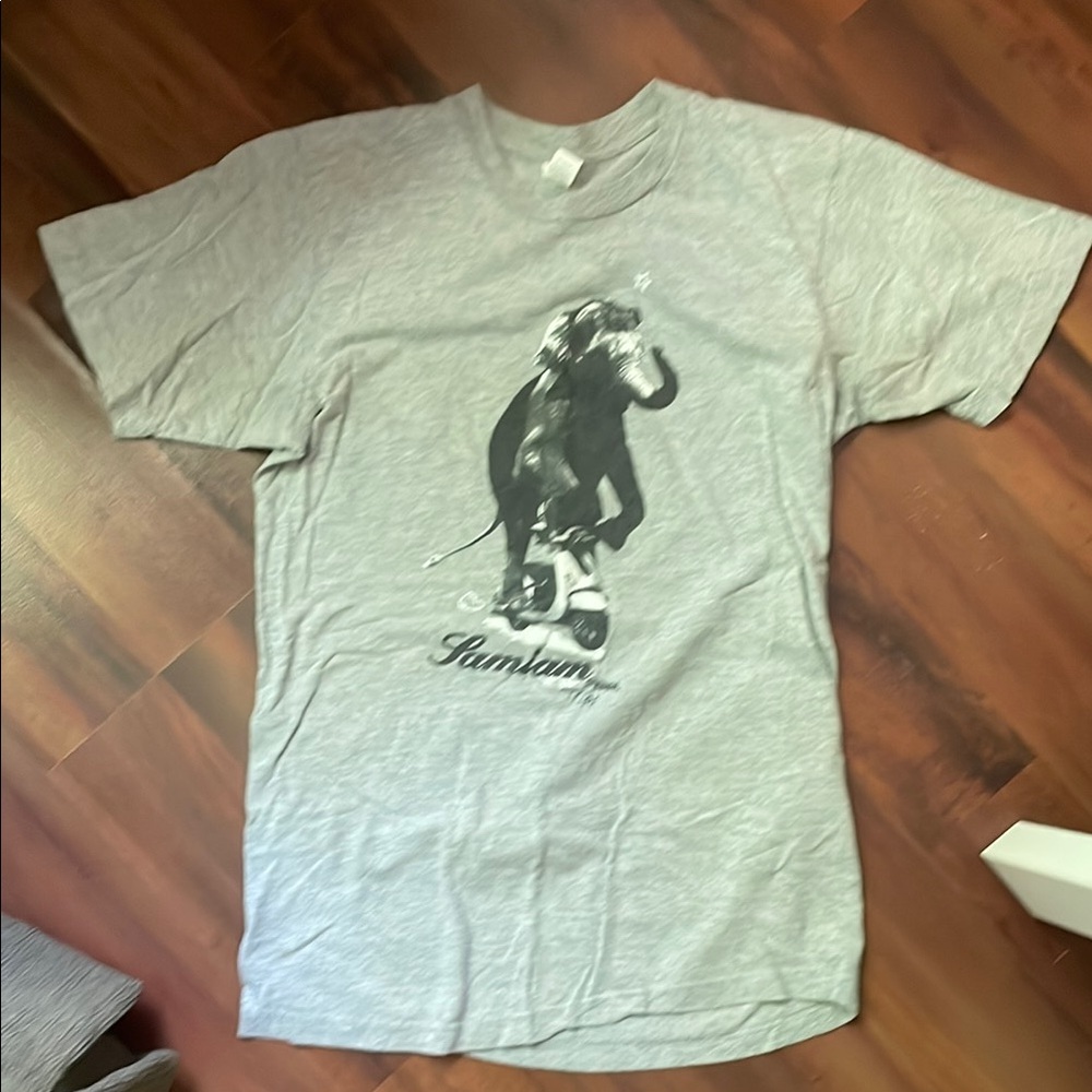 Samiam band Gray Graphic T-Shirt